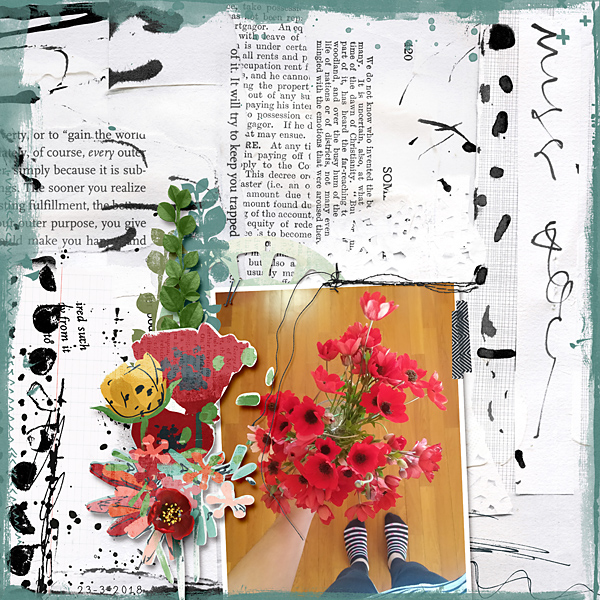 Poppies