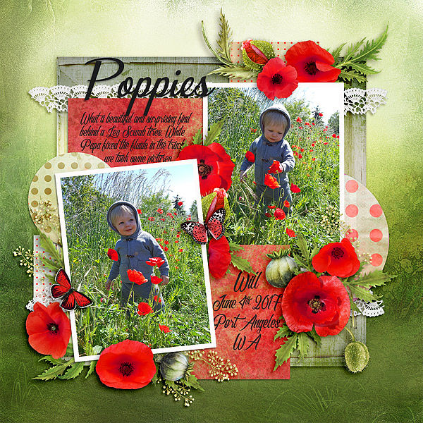 Poppies