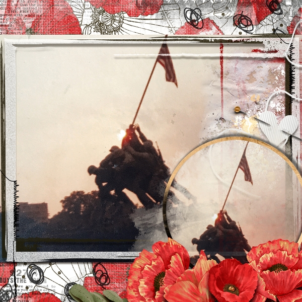 Poppies