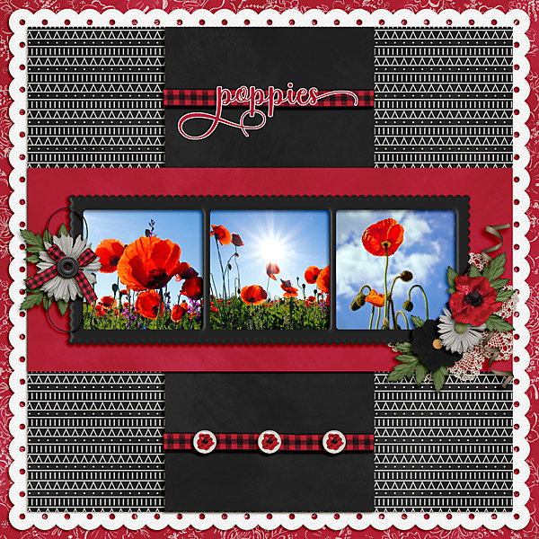 Poppies