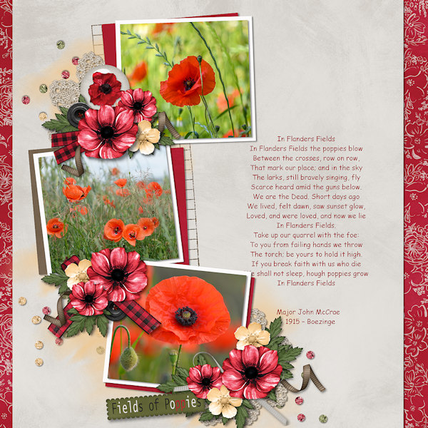 Poppies