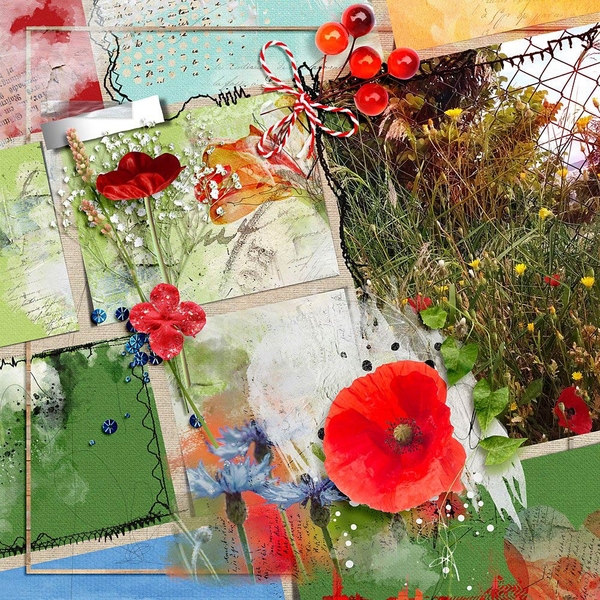 Poppies