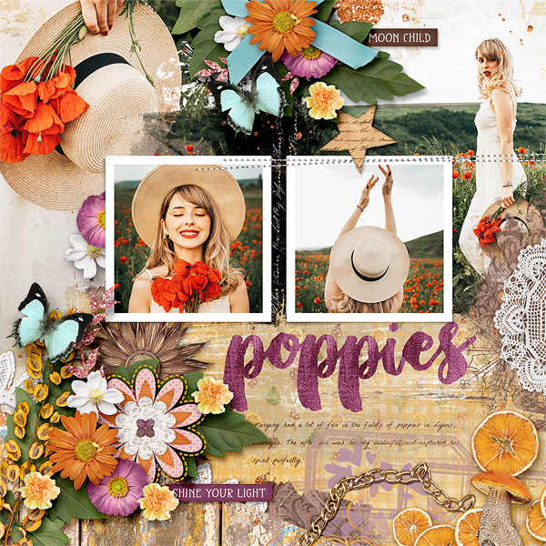 Poppies