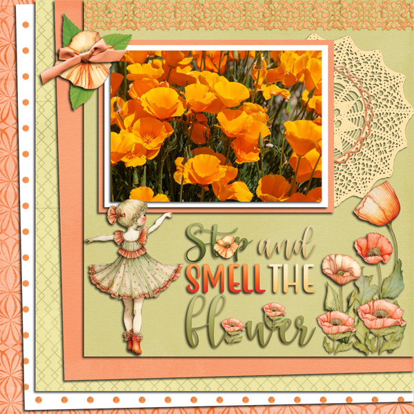 Poppies