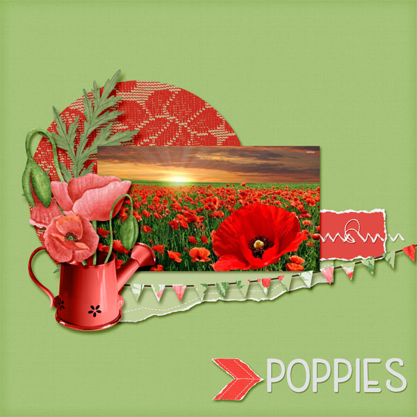 Poppies