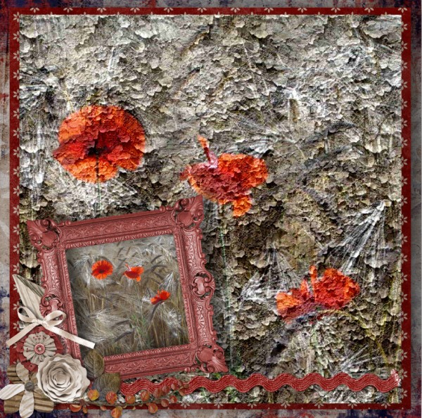poppies_