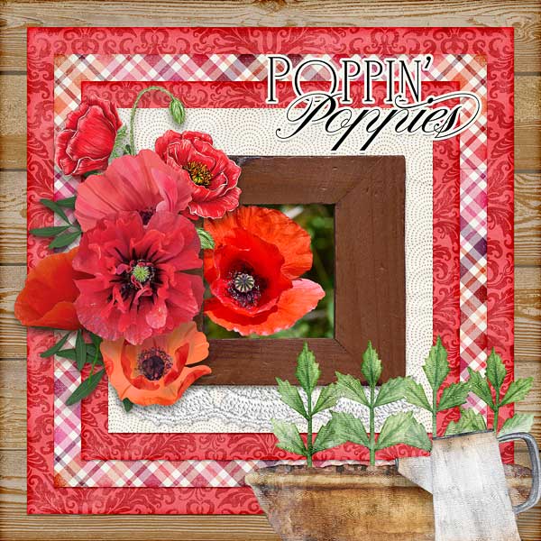 Poppin Poppies