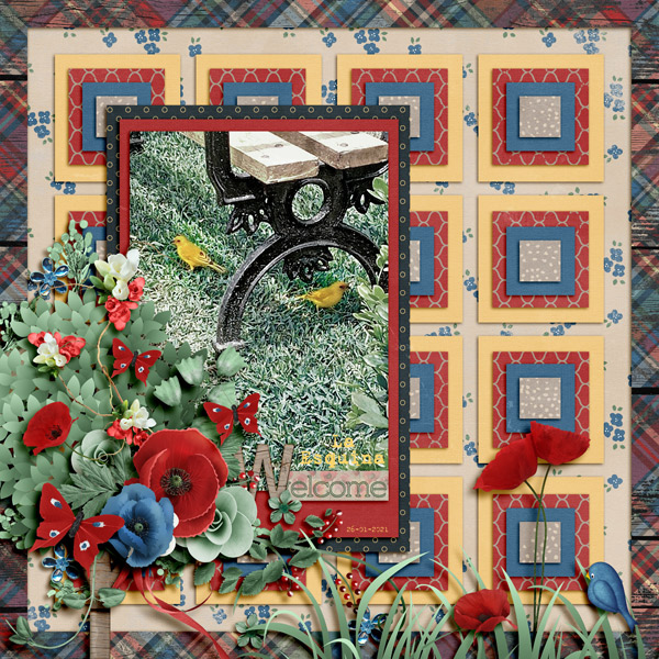poppy dreams