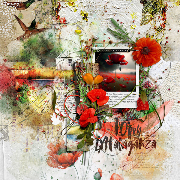 Poppy Extravaganza