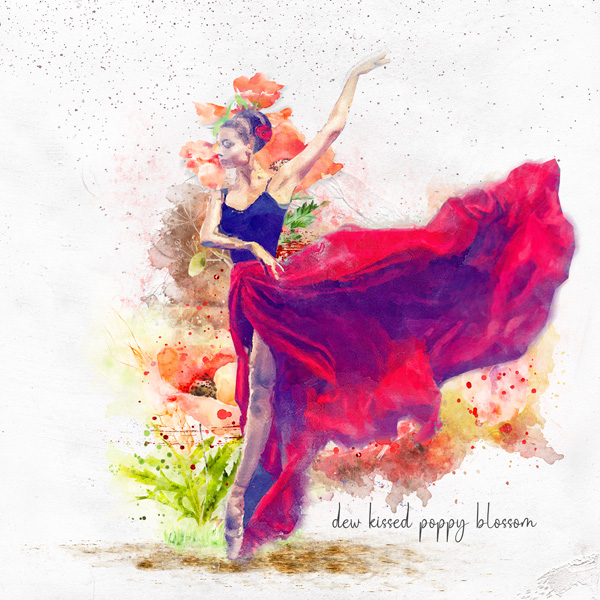 Poppy Field