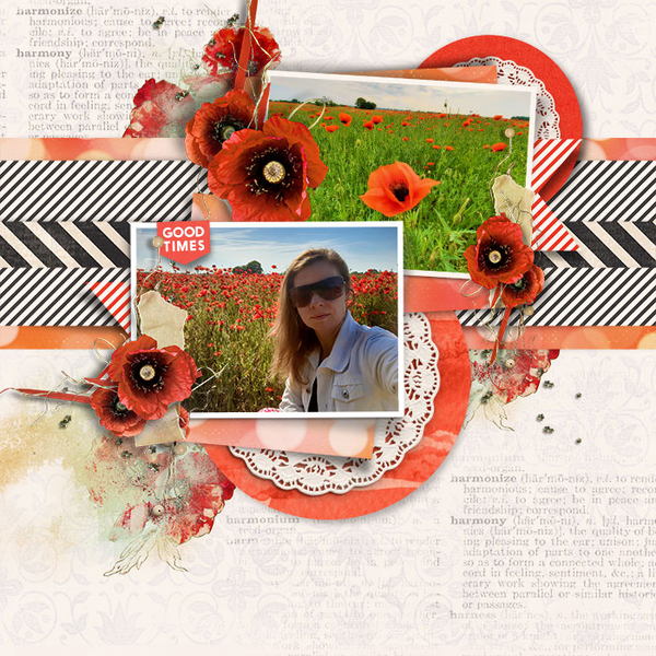 Poppy field