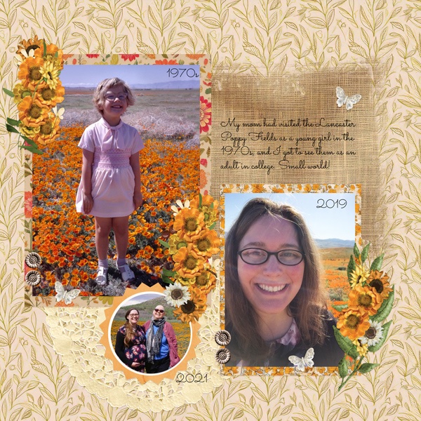 Poppy Fields Memory