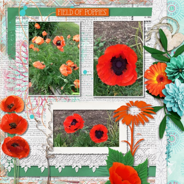 Poppy Lane