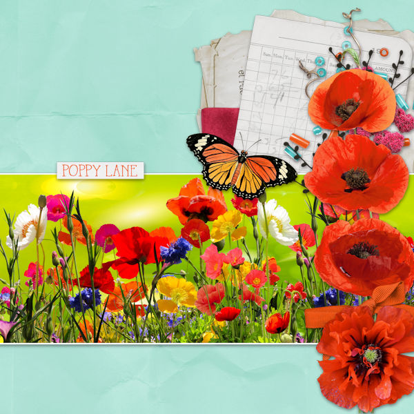 Poppy Lane