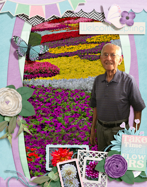 Poppy spring shadowbox