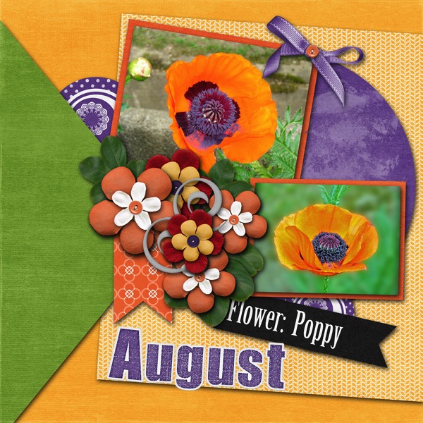 Poppy