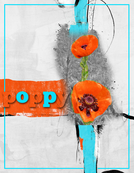 poppy