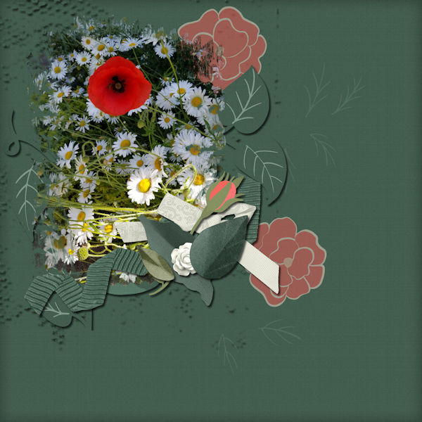 Poppy