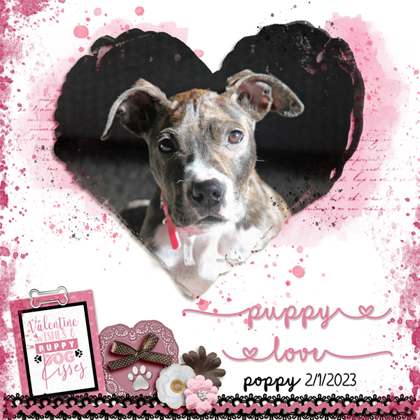 Poppy