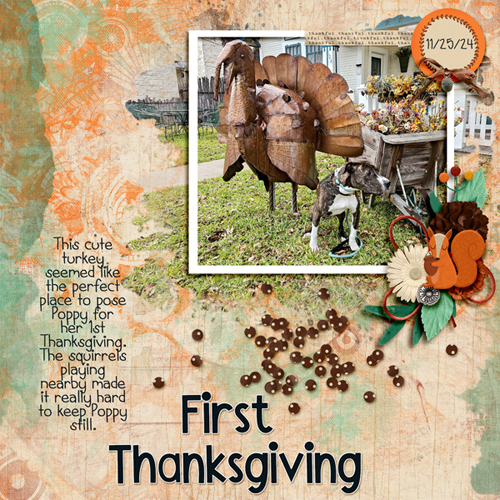 Poppys First Thanksgiving