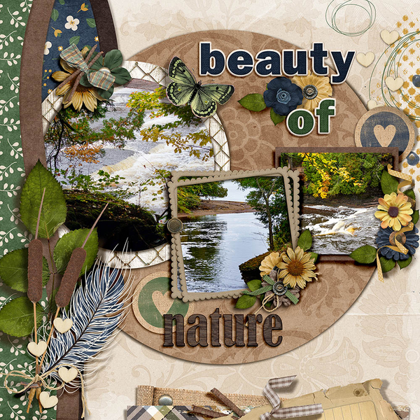 Porcupine Mt Nature