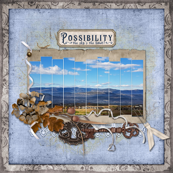 Possibility