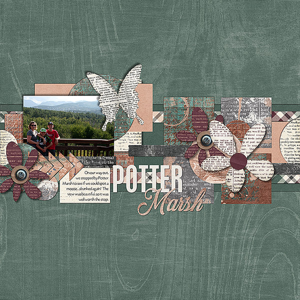 Potter Marsh 1