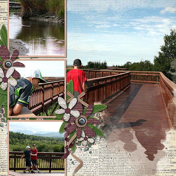 Potter Marsh 2