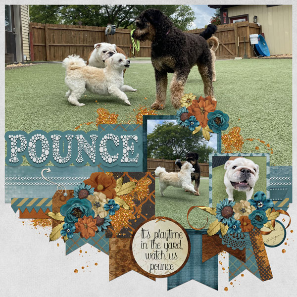 Pounce