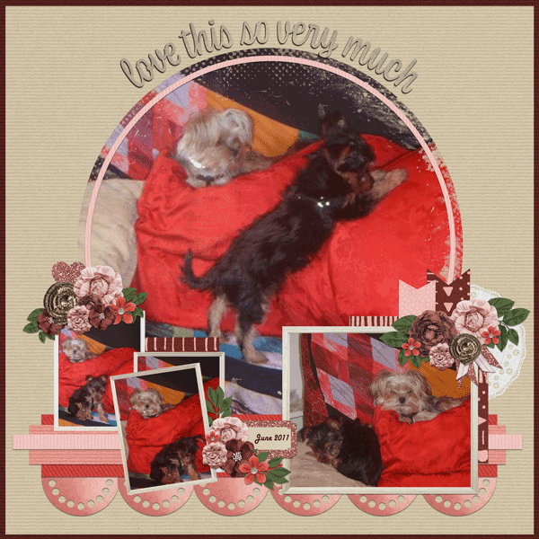 Pouncy Pillows