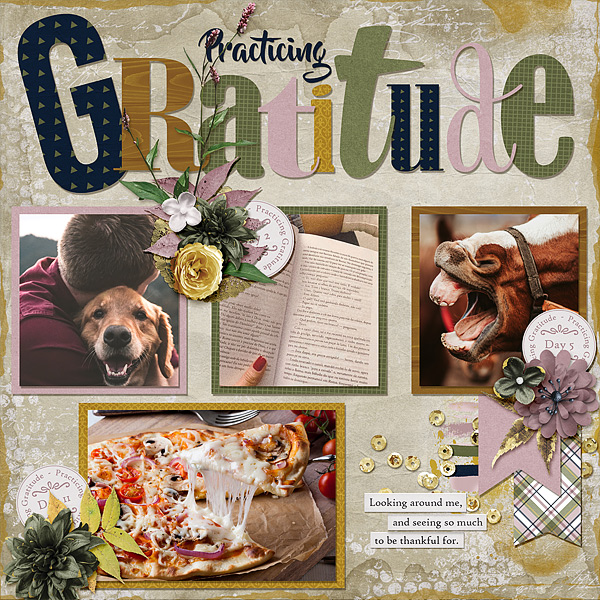 Practicing Gratitude