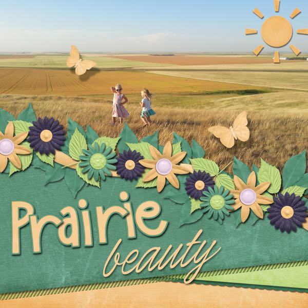 Prairie Beauty
