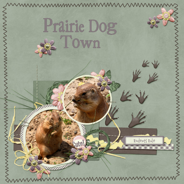 Prairie Dog Town
