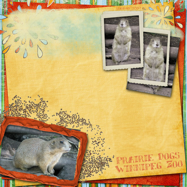Prairie Dogs