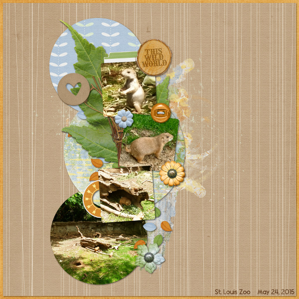 Prairie Dogs
