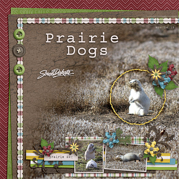 PrairieDogsSD