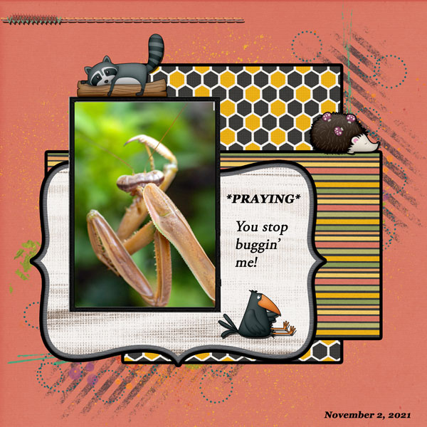 Praying Mantis