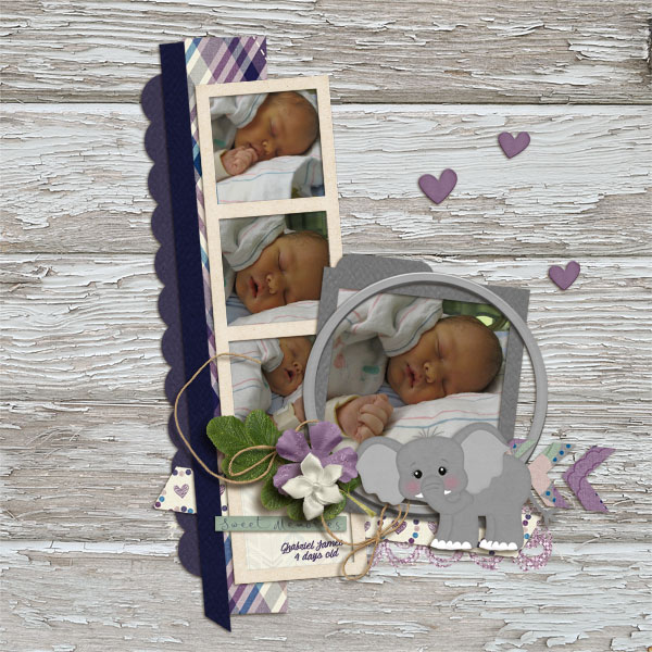 prd_SnapShots_template-WC-elephantsneverforget