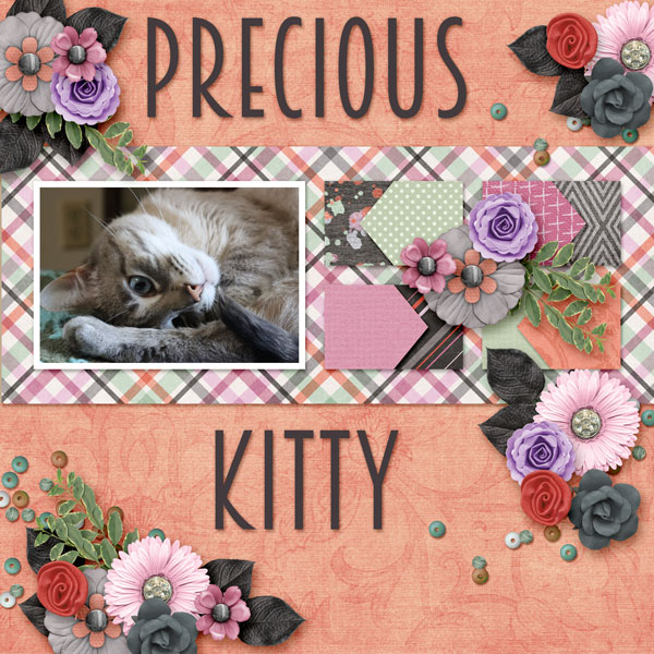 Precious Kitty - Casper