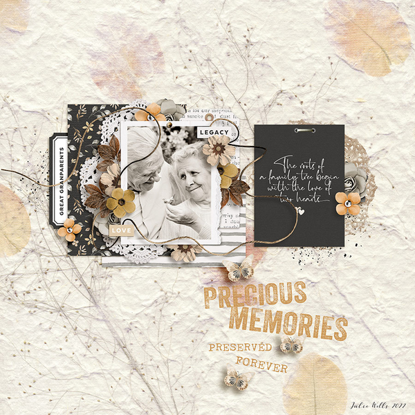 precious memories