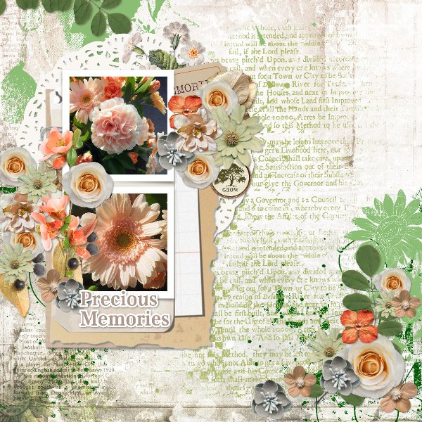 precious memories
