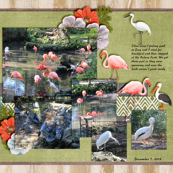 Preening_R