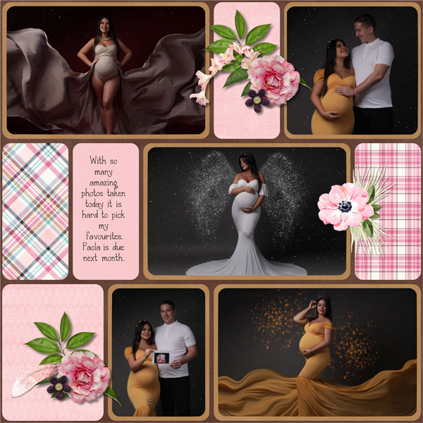 Pregnancy Photoshoot