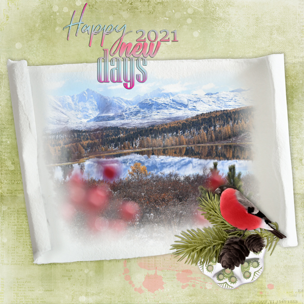 PrelP_WAChal-Jan2021_1050_1086_1089_