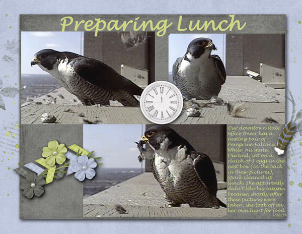 Preparing Lunch