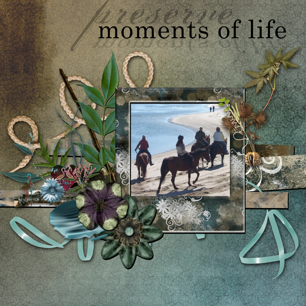 preserve memories
