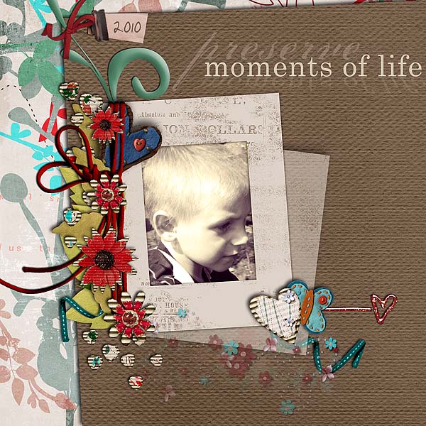 Preserve Moments In Life