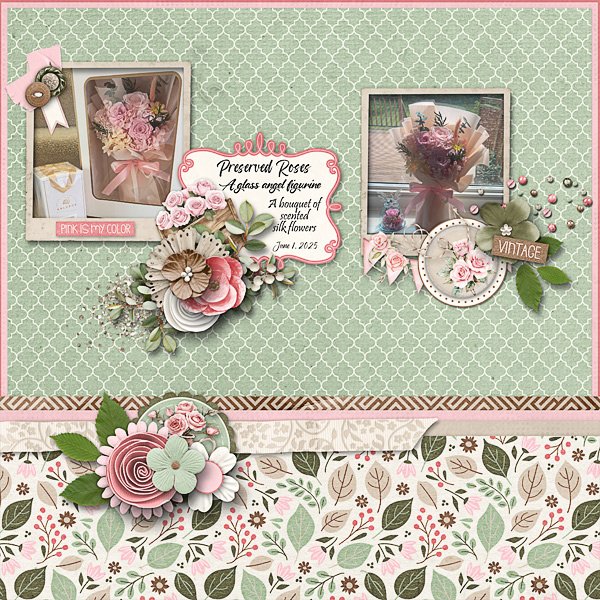 Preserved Roses