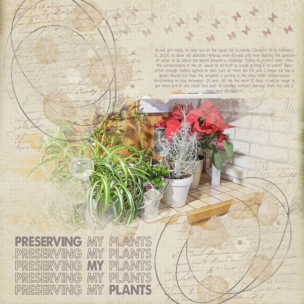 Preserving My Plants