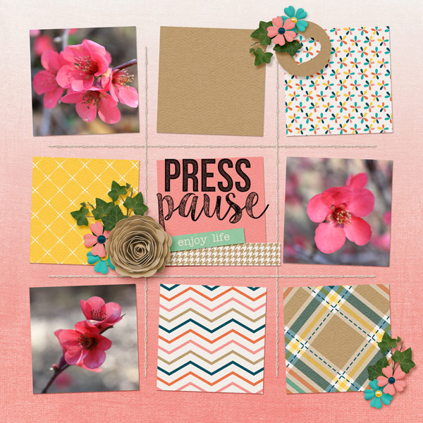 Press Pause and enjoy life